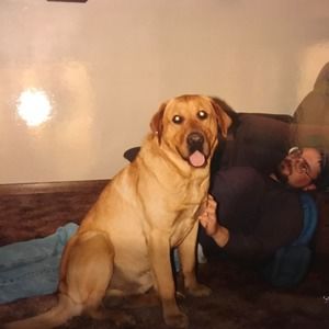 Meet your Posher, Troy